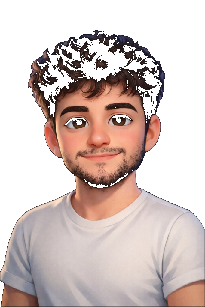 Professional developer